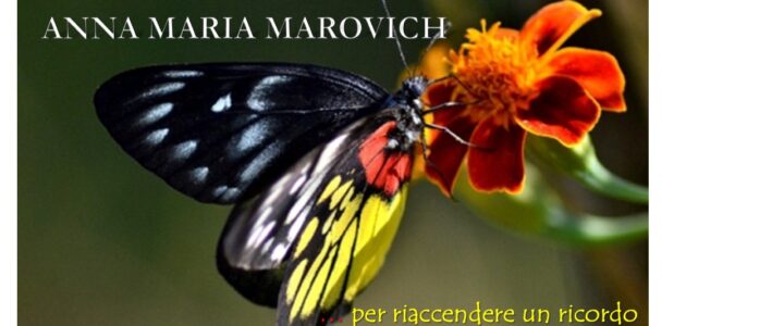 Anniversario dellla nascita della Venerabile Anna Maria Marovich