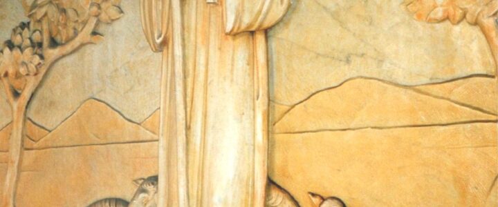 2 Marzo 2025 – Papa Francesco